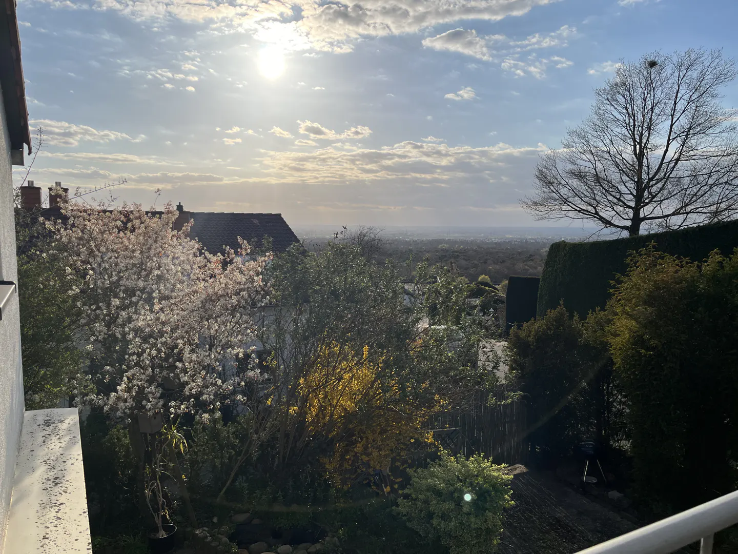 View from a balcony overlooking a garden with trees, bushes, and a distant cityscape under a bright, cloudy sky.