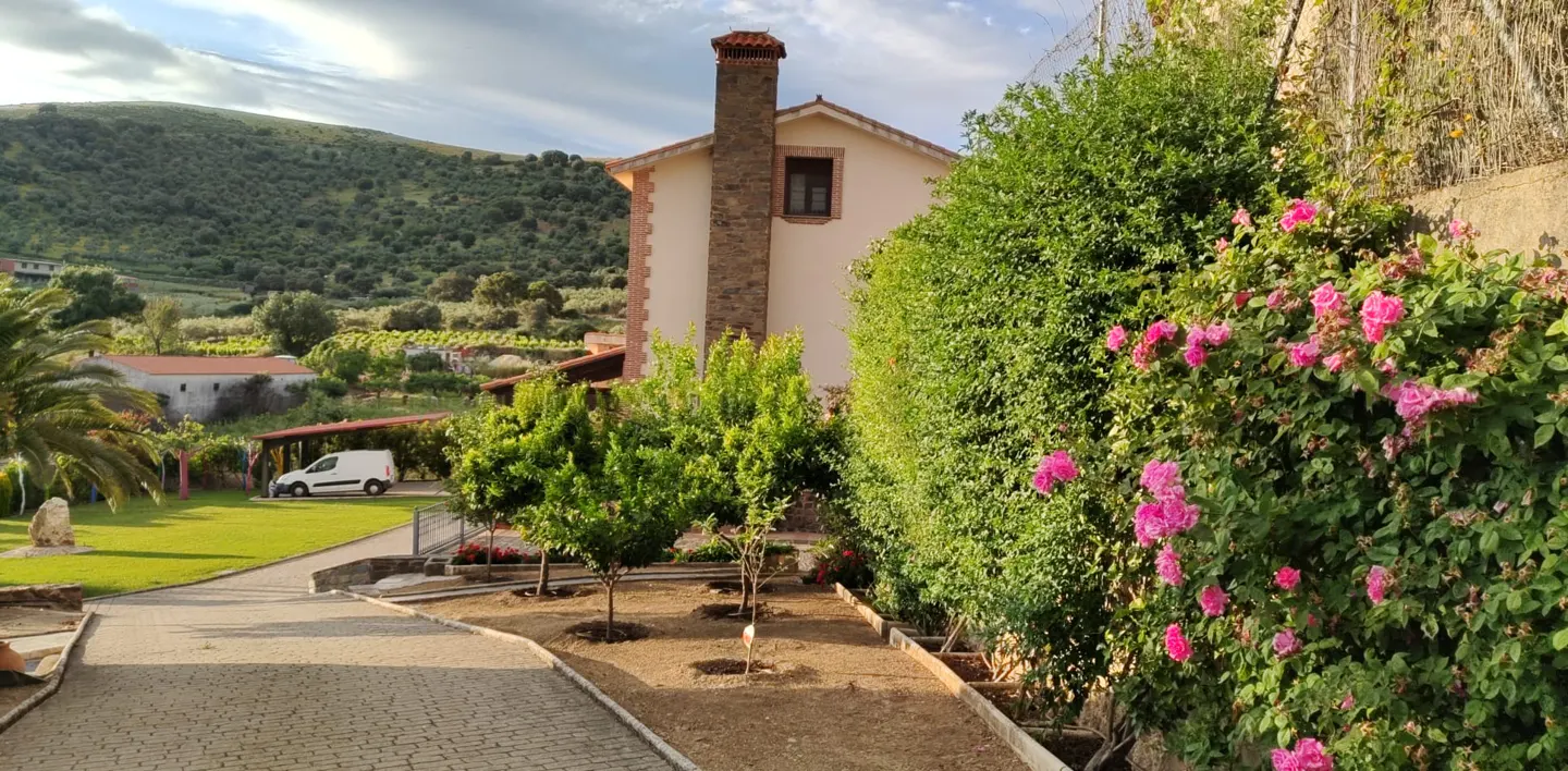 A stone path leads past a blooming pink rose bush toward a house with a tall chimney, set against a scenic mountain backdrop.