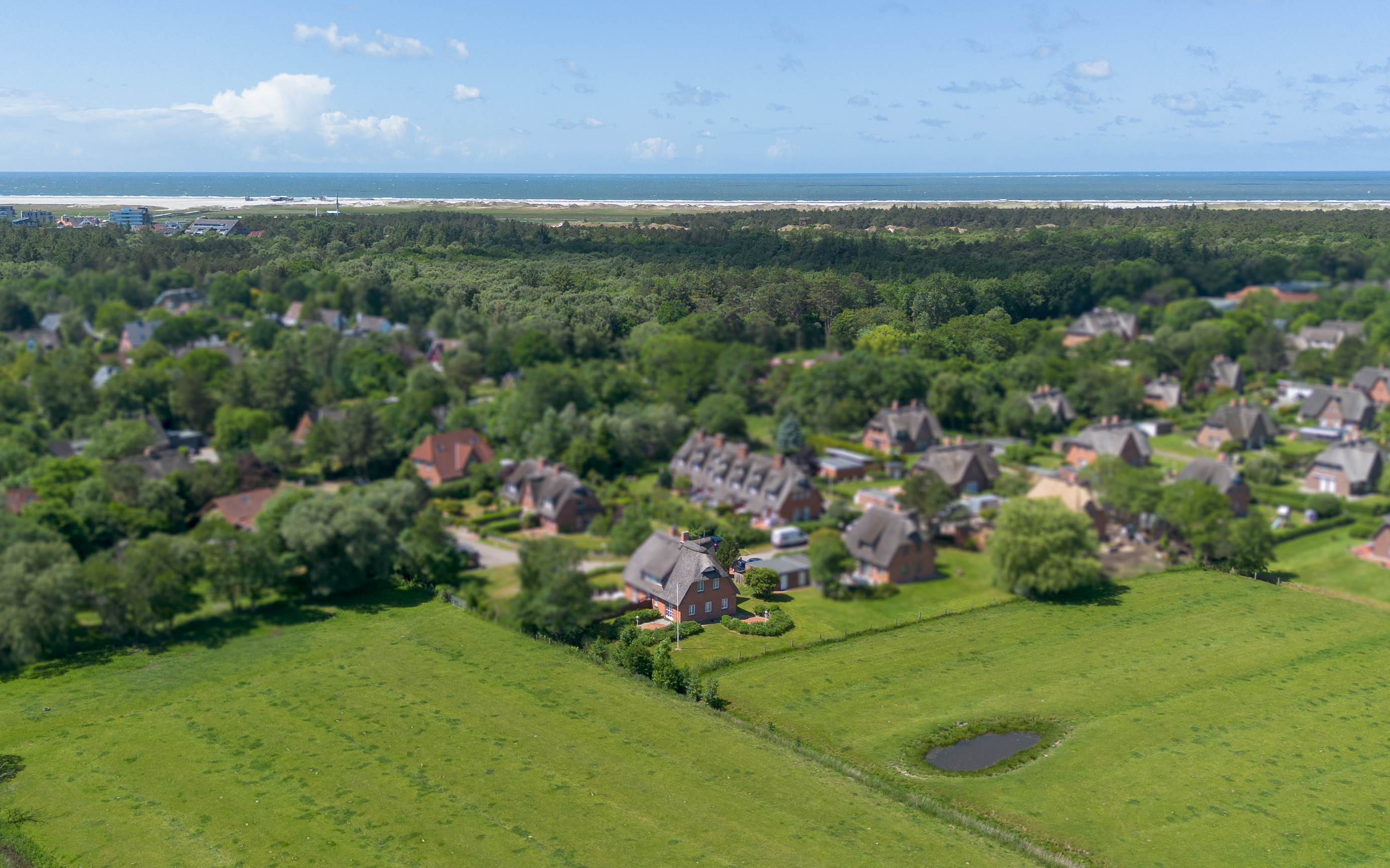 Haushälfte unter Reet - Weitblick in Ording