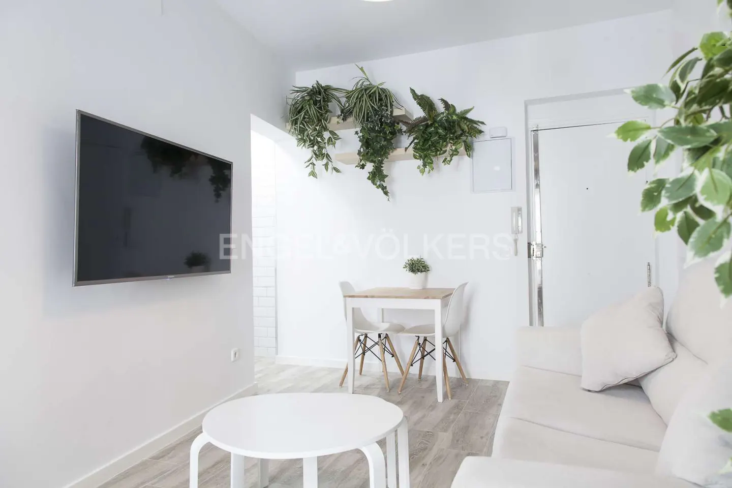 Bright, modern living room with white walls, sofa, and round table. A TV hangs on the wall, and plants adorn a shelf above a small dining table.