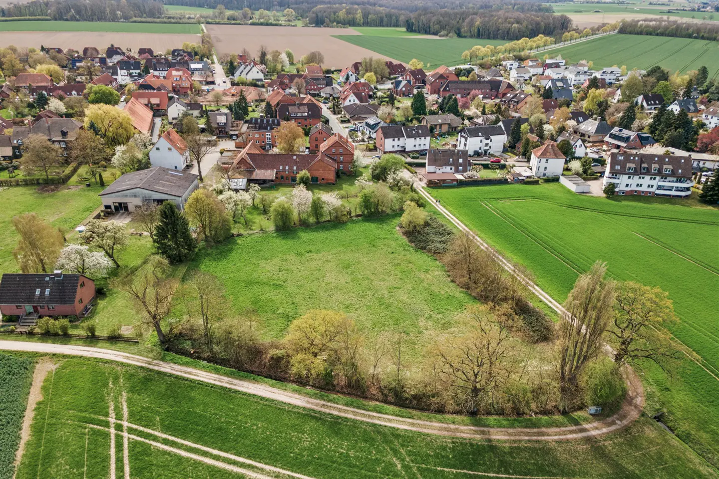 Aerial view of a rural town with red-roofed houses, green fields, and a winding dirt path. Trees and foliage surround the open spaces.