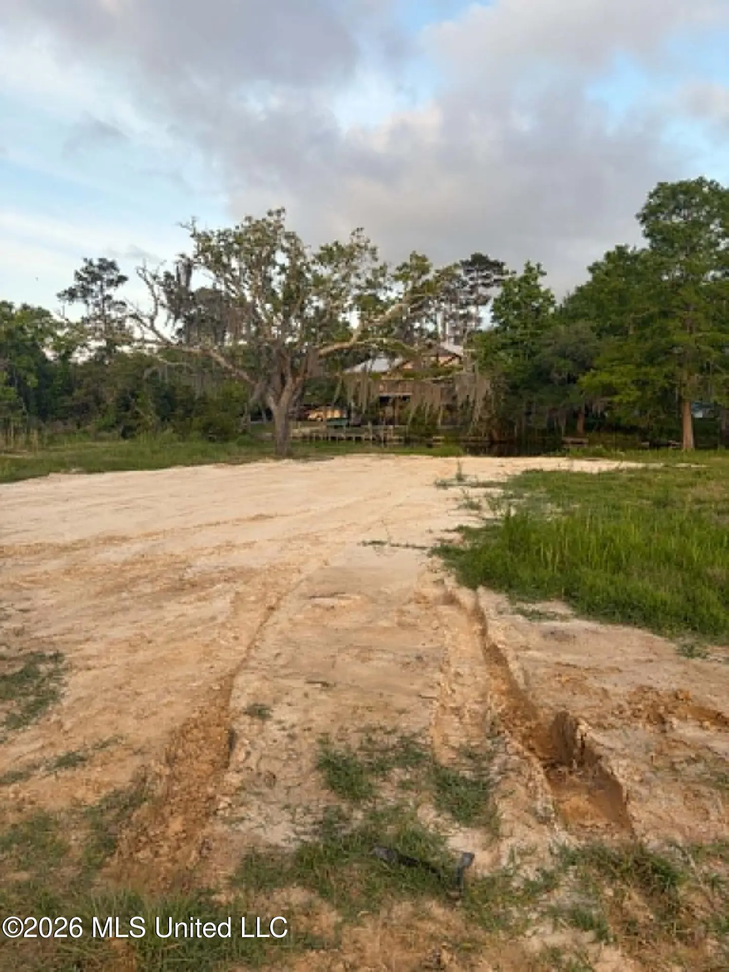 A sandy lot with tire tracks leads to a house obscured by trees and Spanish moss. Green grass borders the lot under a cloudy sky.
