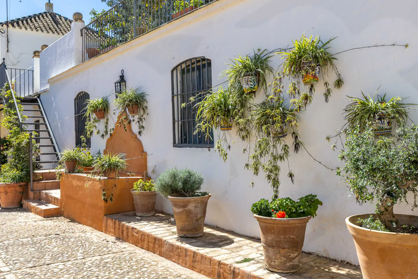 Exterior of a white building with potted plants, a window with bars, and a staircase.