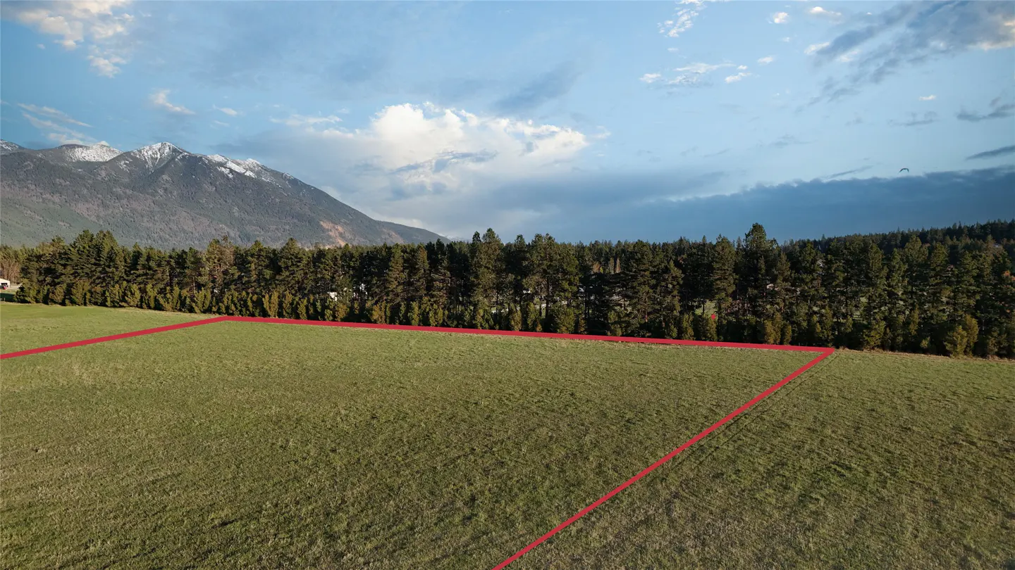 A grassy lot outlined in red, with a tree line, mountains, and cloudy sky in the background.