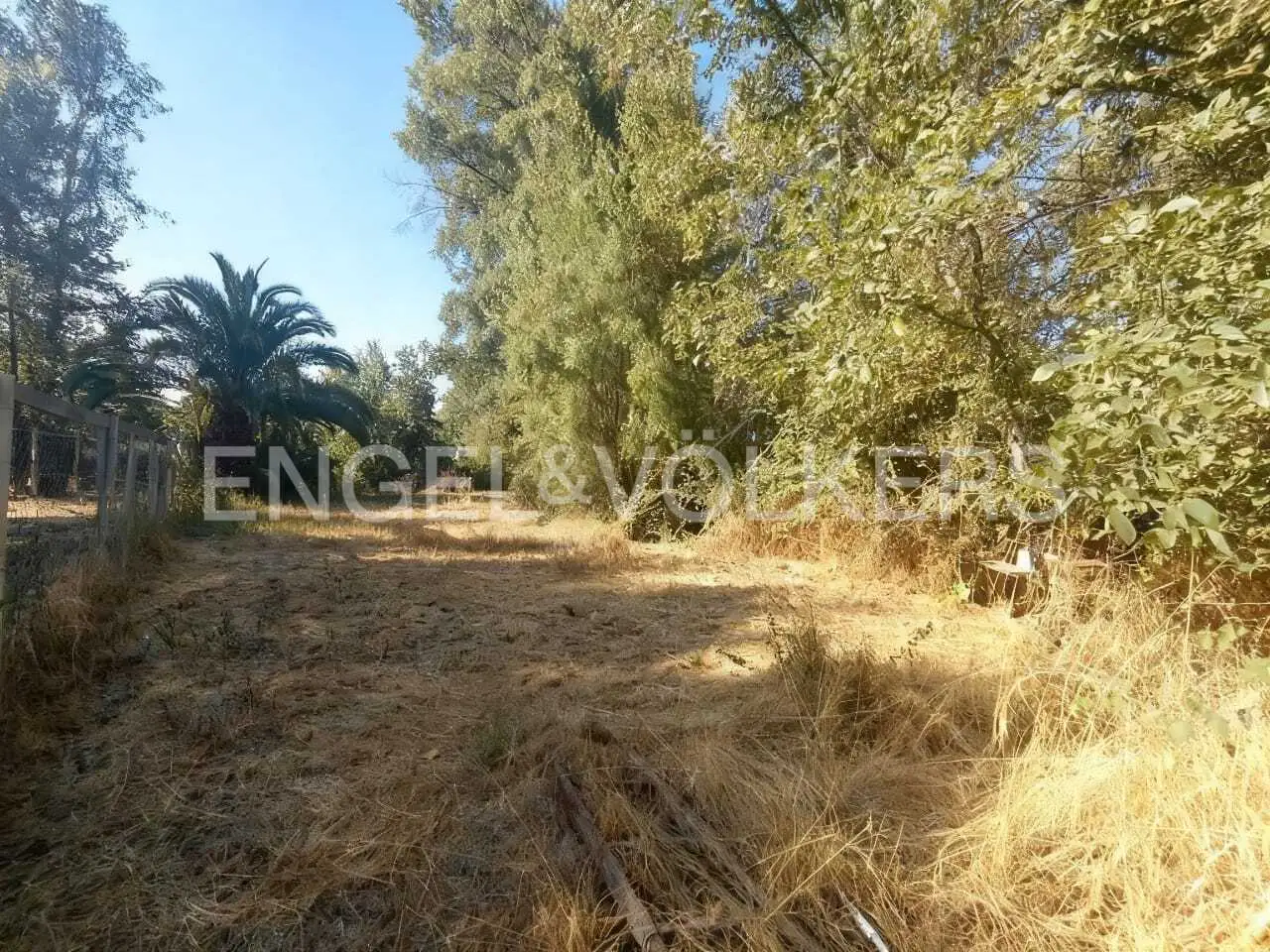 A vacant lot with dry grass, trees, and a palm tree under a blue sky. The Engel & Völkers logo is superimposed on the image.