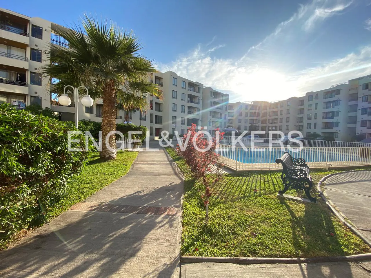 Exterior view of condos with a pool, palm tree, bench, and walkway on a sunny day.