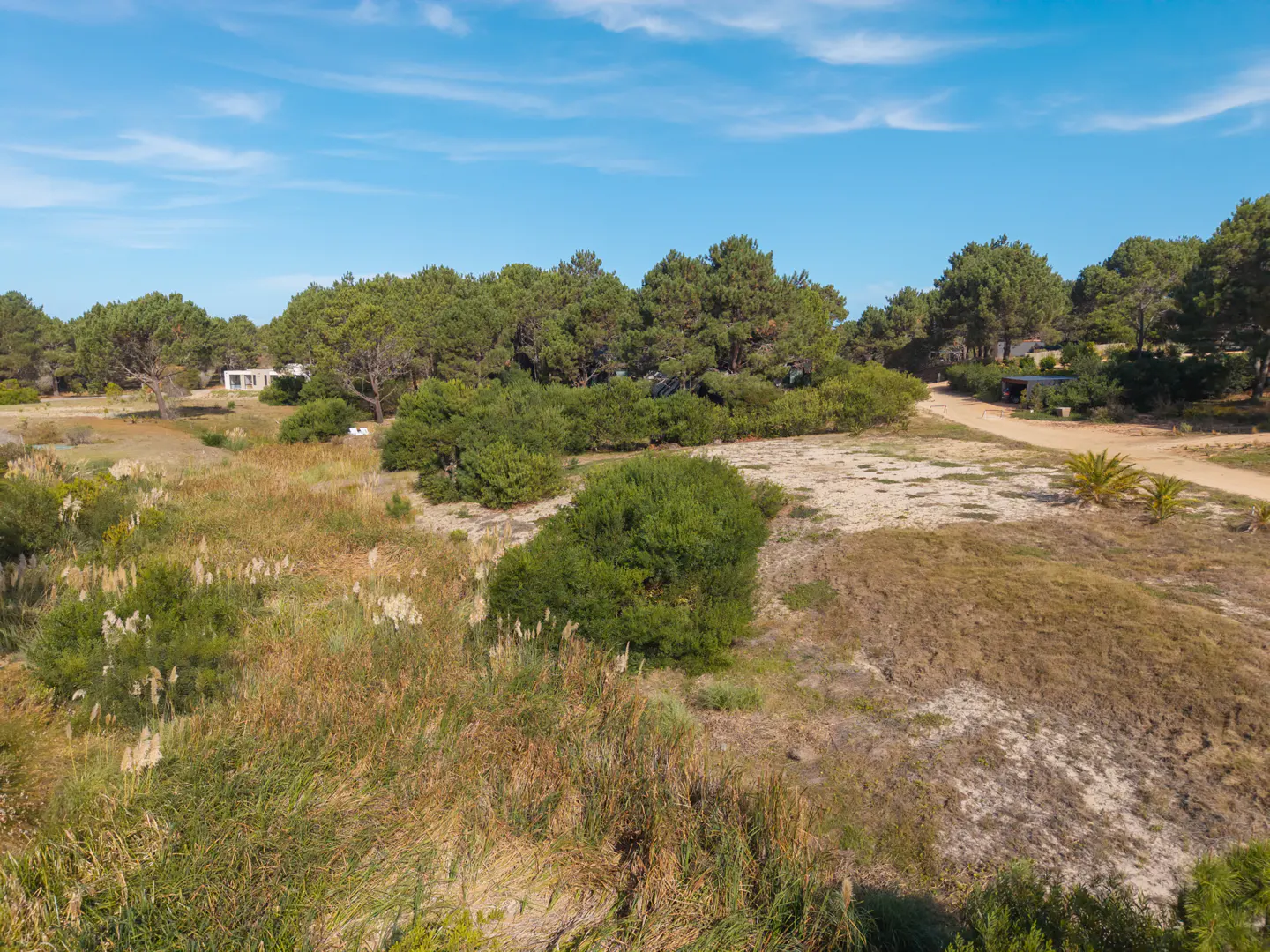 Aerial view of a vacant lot with tall grass, shrubs, and trees under a blue sky. A dirt road runs along the edge of the property.