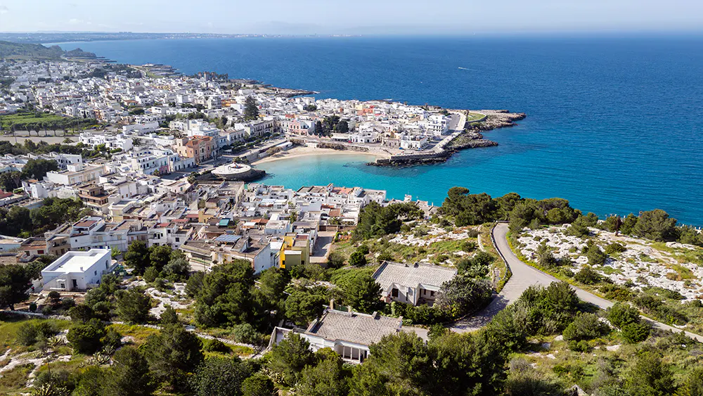 Aerial view of Polignano a Mare, Italy, featuring white buildings, a sandy beach, turquoise water, and lush green vegetation.