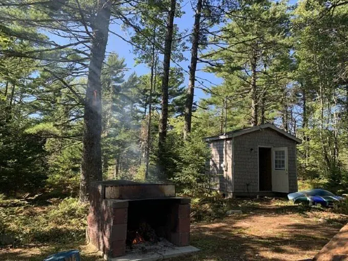 A stone outdoor fireplace with a small fire sits in a wooded yard next to a small gray shed with an open door.