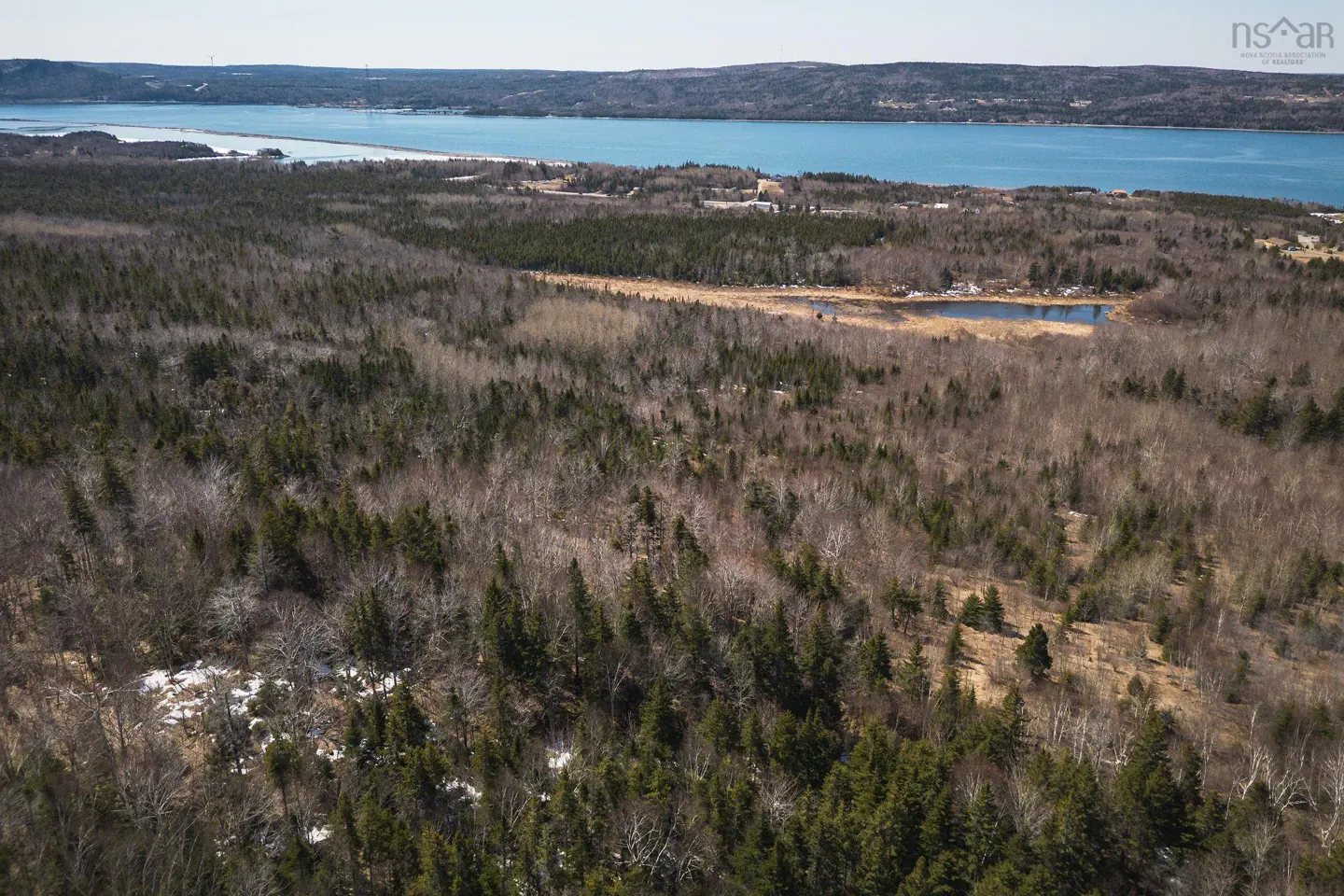Aerial view of a wooded area with a blue body of water in the background.