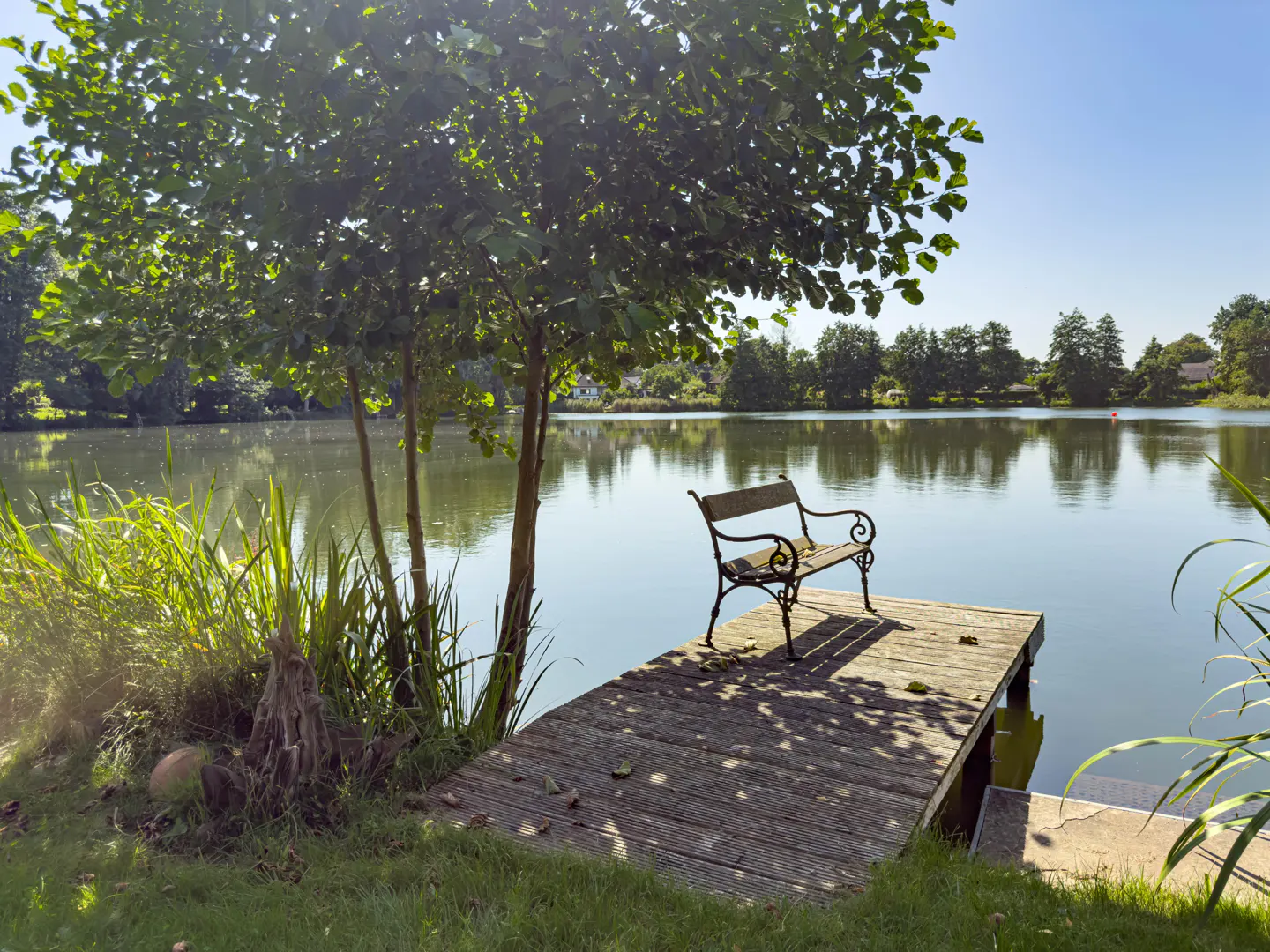 A bench sits on a wooden dock extending into a calm lake, with trees and grass surrounding the area.
