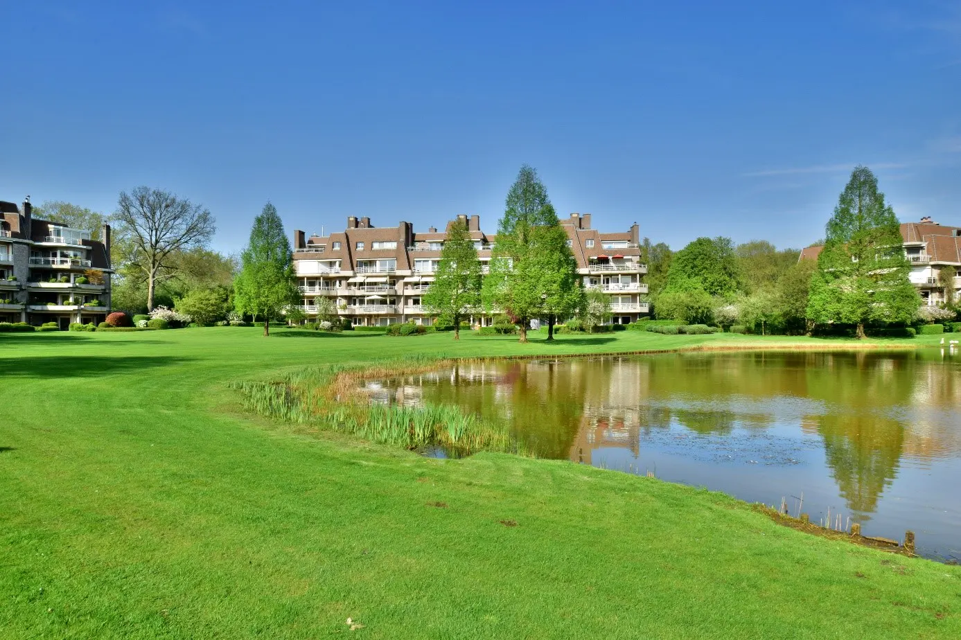 Modern apartment buildings surrounded by lush green lawns and trees, overlooking a calm pond under a clear blue sky.