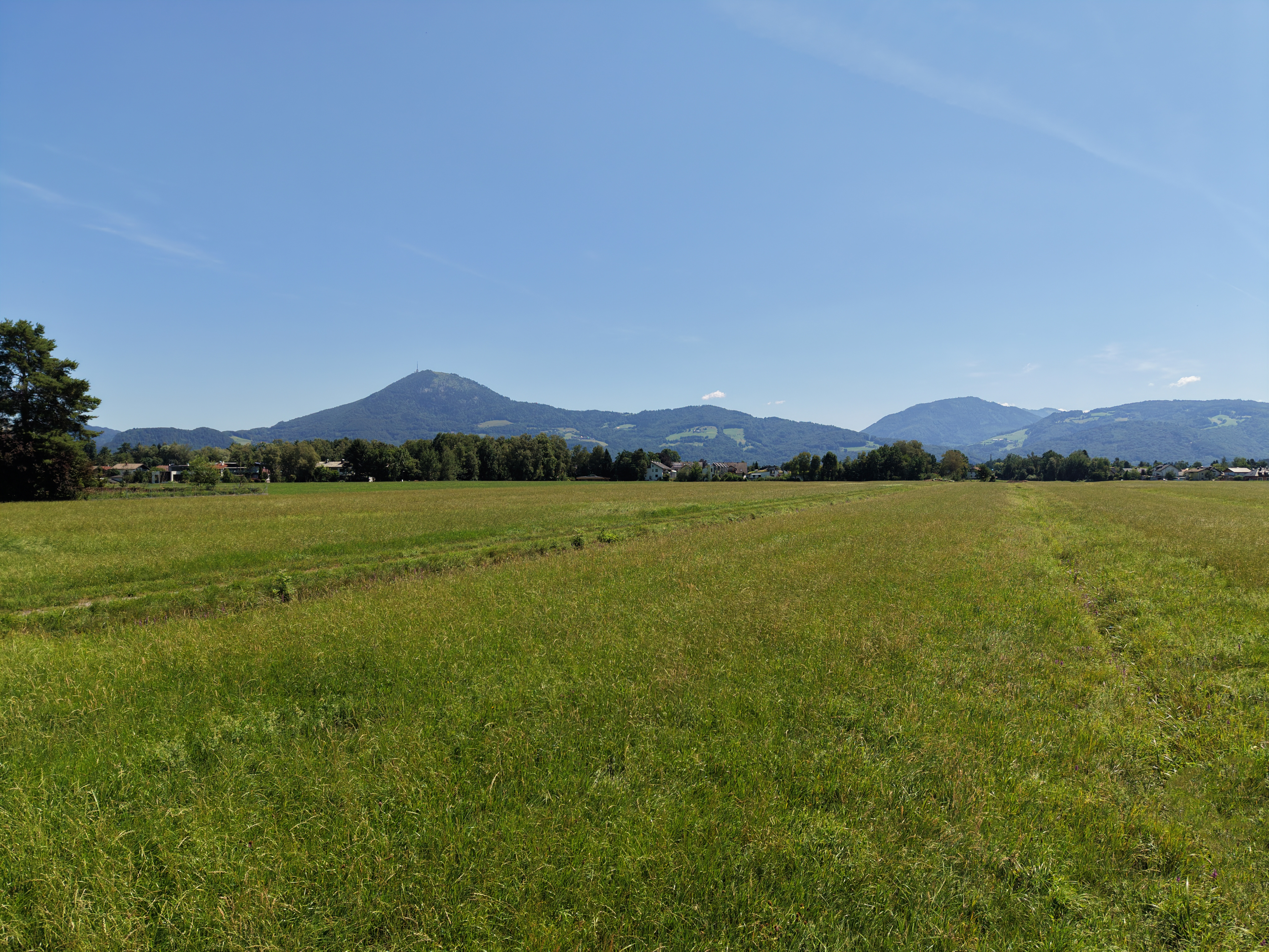 Salzburg: Traumhaftes Baugrundstück mit Grünland & Panoramablick