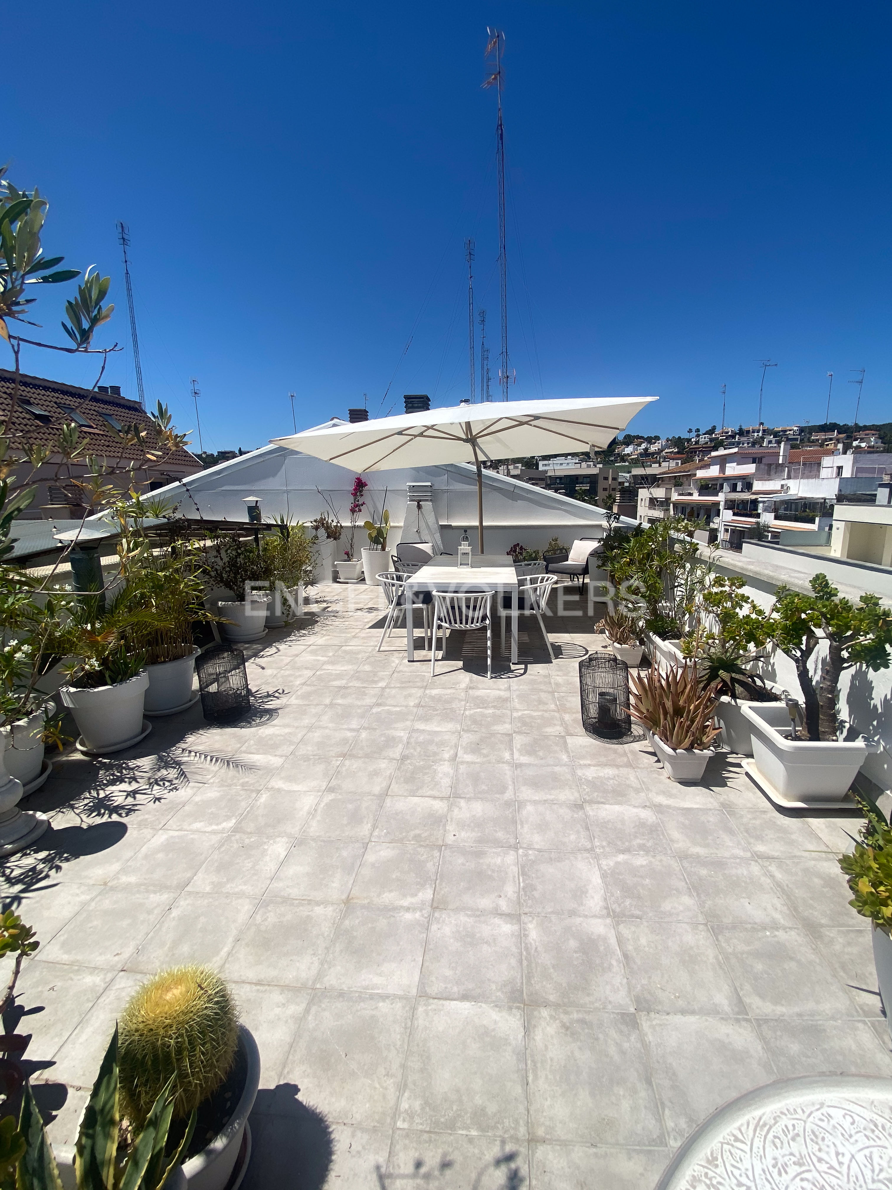 Sunny rooftop terrace with tiled flooring, white dining set under a large umbrella, and various potted plants and cacti.