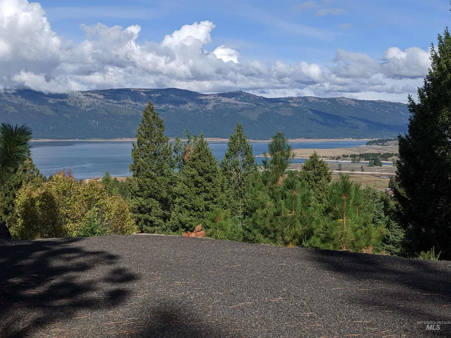 Scenic view of a lake and mountains under a cloudy sky, framed by green trees and a dark foreground.