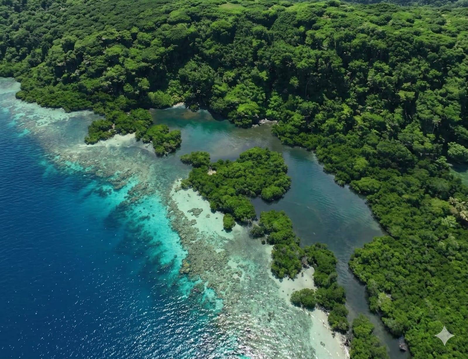Eco Luxury Waterfront Lifestyle Living in Bocas del Toro