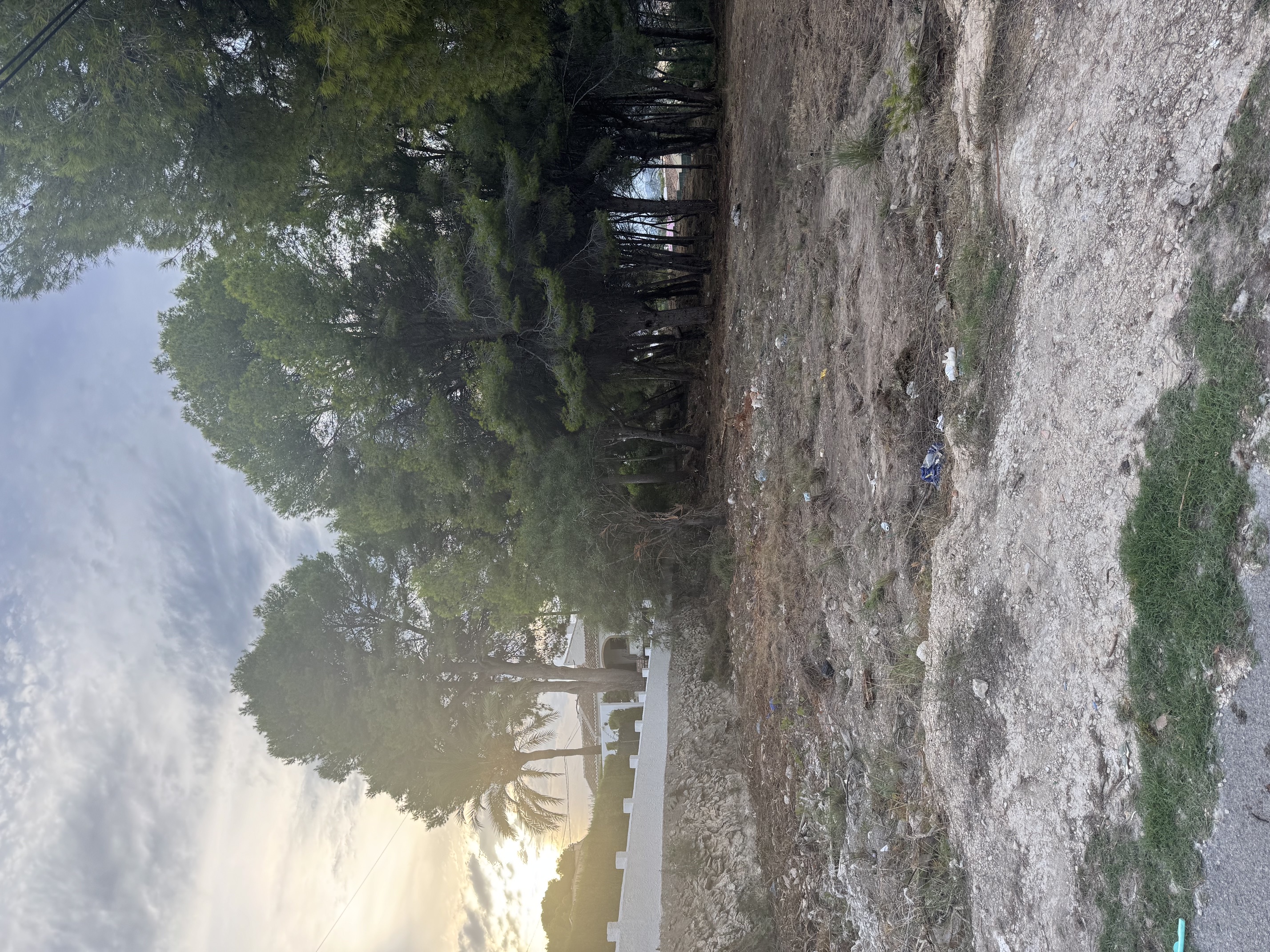 Commercial Development Plot