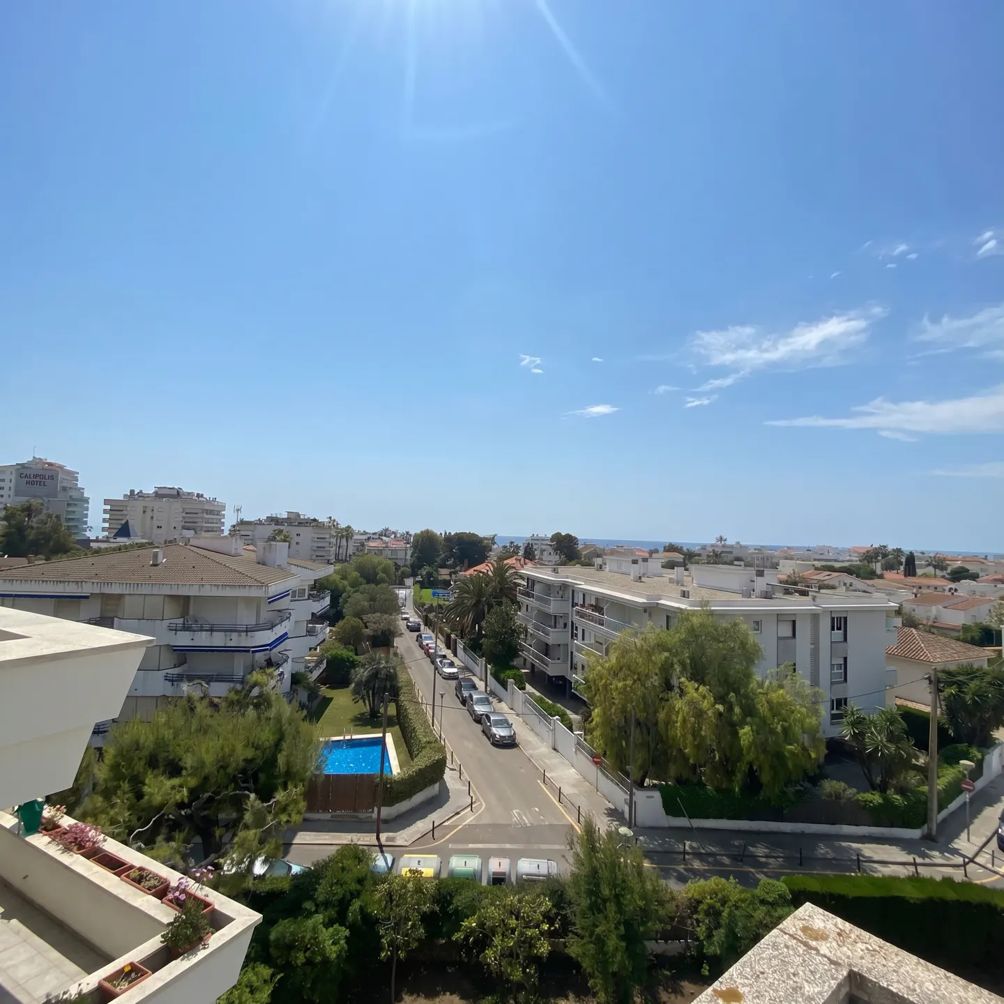 [AI-generated photo]