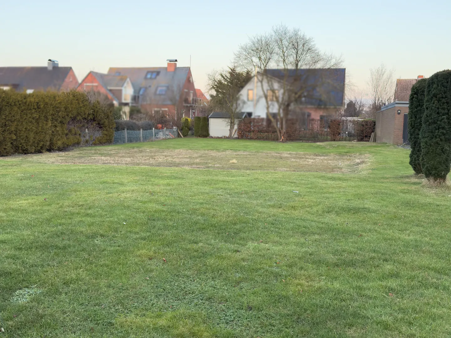 A large green lawn with houses and trees in the background.