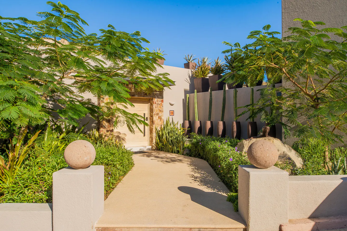 Landscaped walkway to a beige home with a wooden door. Green plants and cacti line the path under a clear blue sky.