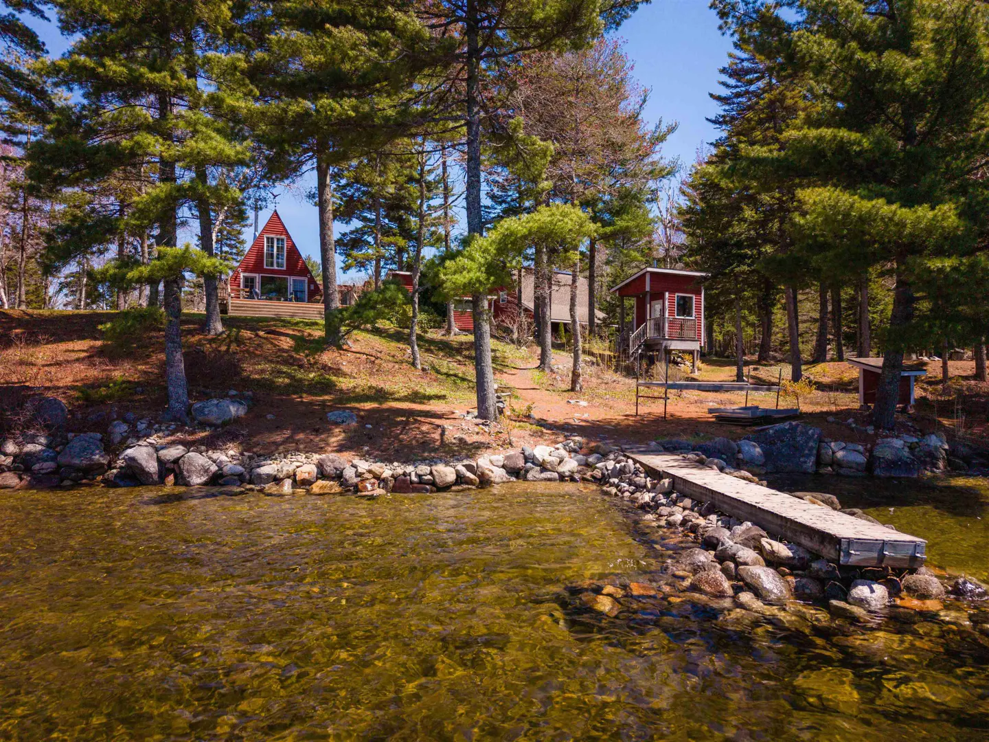 Waterfront property with a wooden dock leading to a red cabin surrounded by tall pine trees under a blue sky.
