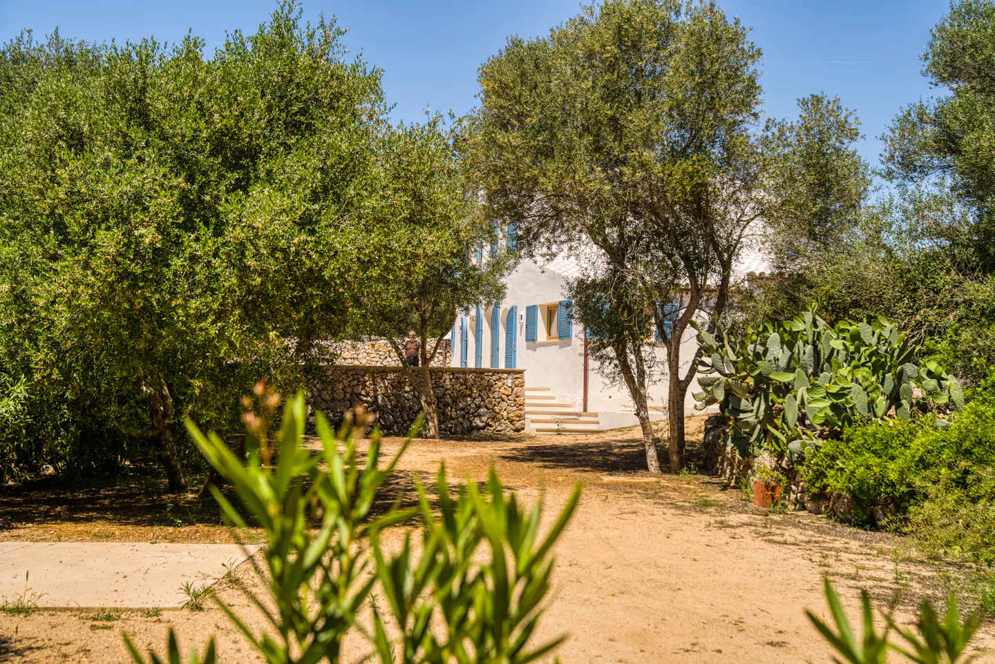 Exterior view of a white house with blue shutters, surrounded by trees and greenery on a sunny day.