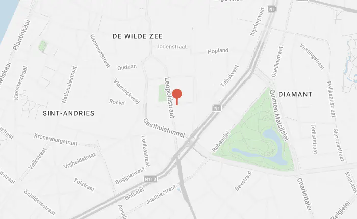 Map view of Antwerp, Belgium, with streets labeled and a red pin marking a location near Leopoldstraat and Gasthuisstraat.