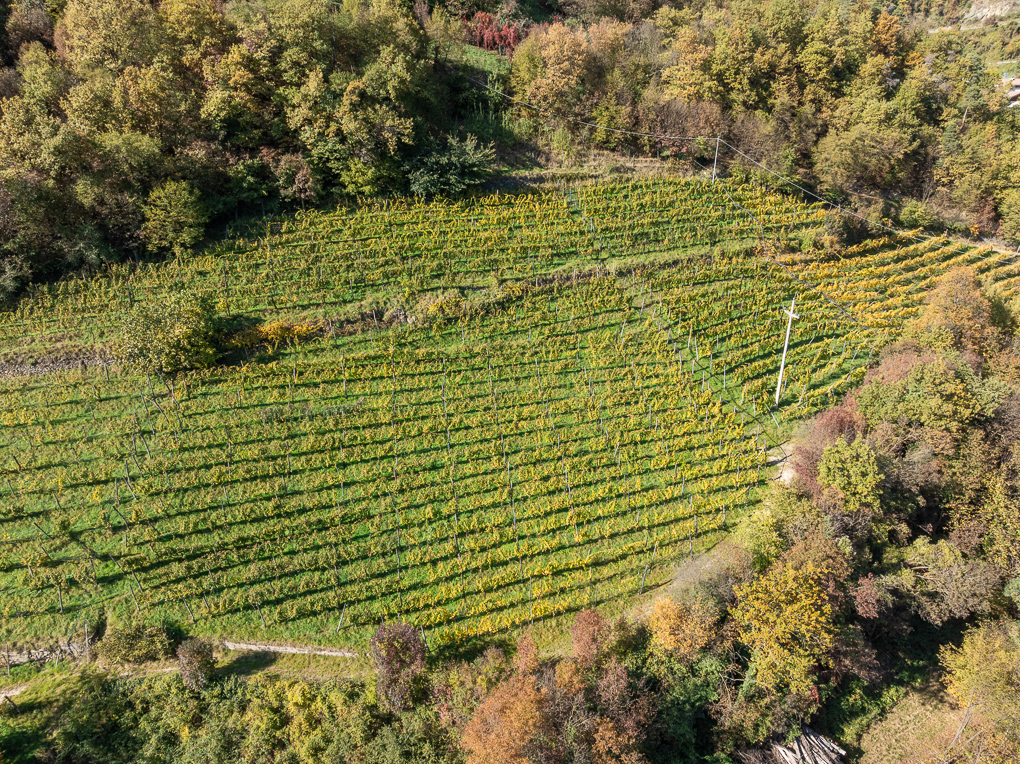 Weingut in sonniger Lage in Barbian - Eisacktal