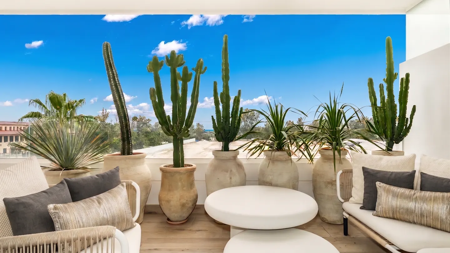 Outdoor patio with cacti and plants in pots, white furniture, and a blue sky background.