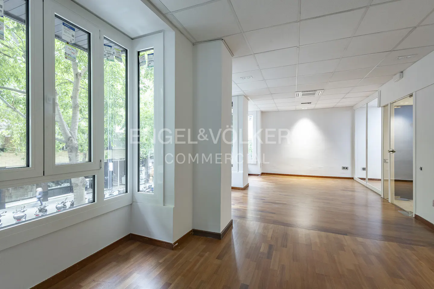 Bright, empty office space with hardwood floors, white walls, and large windows overlooking a tree-lined street.