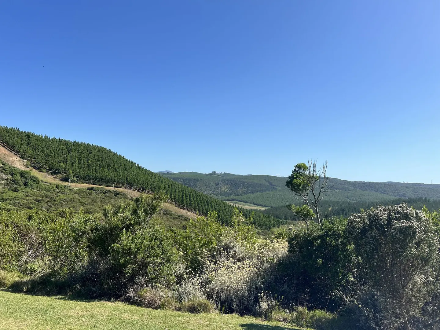 Pezula Private Estate