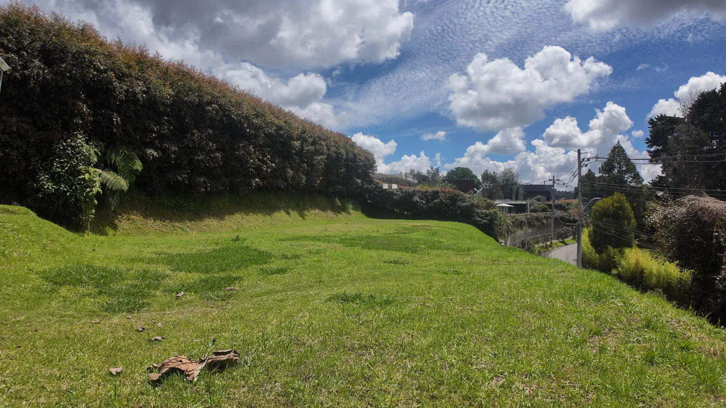 A grassy lot slopes gently under a blue sky with puffy white clouds. A tall hedge borders the top of the lot.