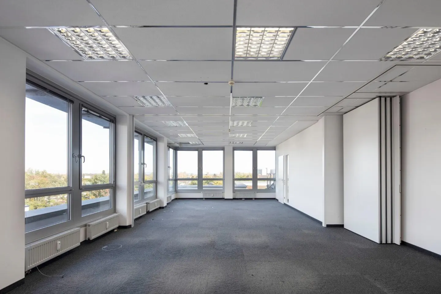 Empty office space with gray carpet, white walls, and large windows showing trees outside. Ceiling has fluorescent lights.