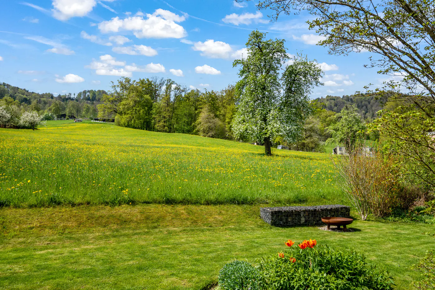Scenic view of a green meadow with yellow flowers, trees, and a blue sky with white clouds. A stone bench and fire pit are in the foreground.