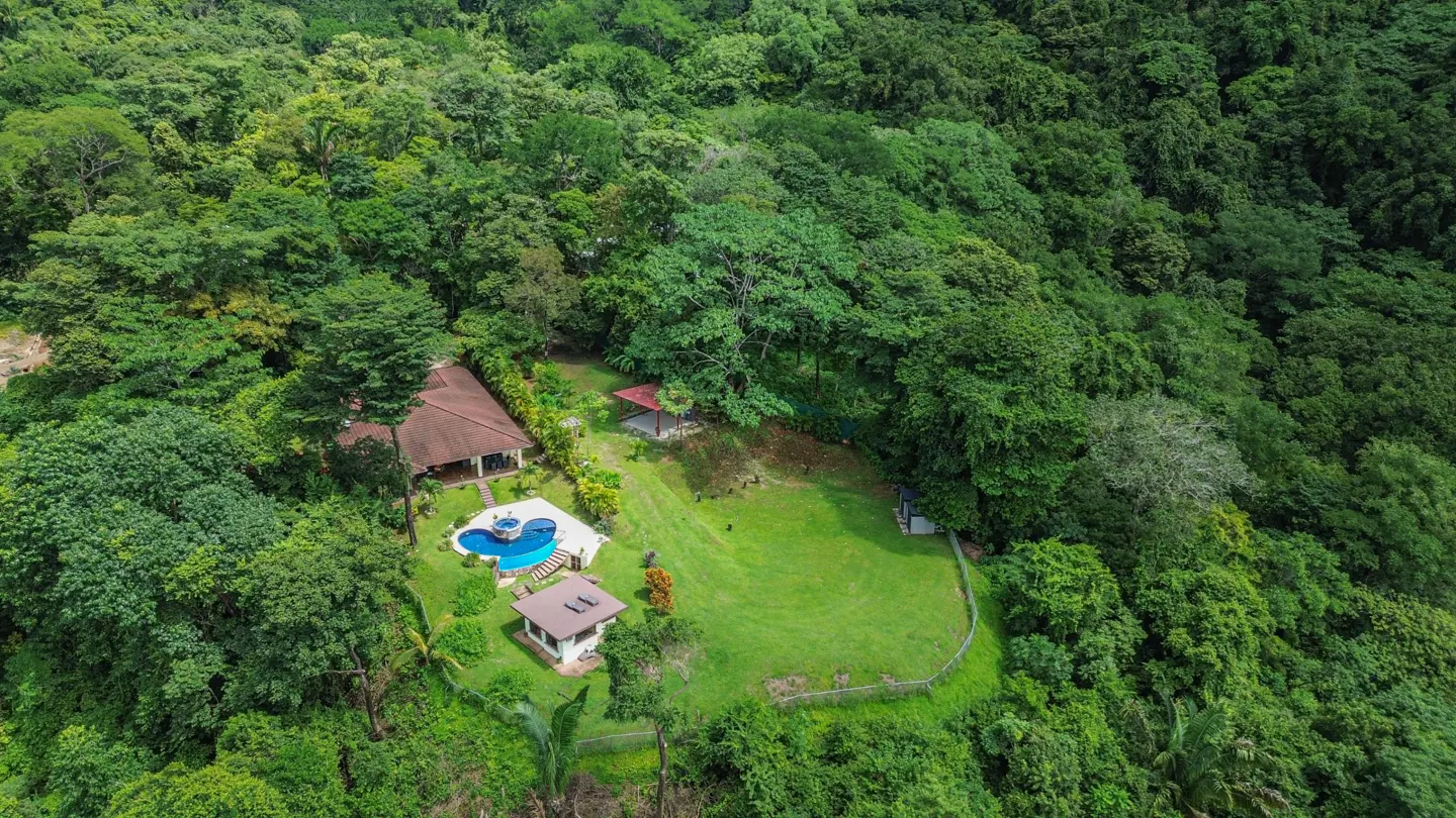 Aerial view of a house with a pool, gazebo, and green lawn surrounded by a dense green forest.