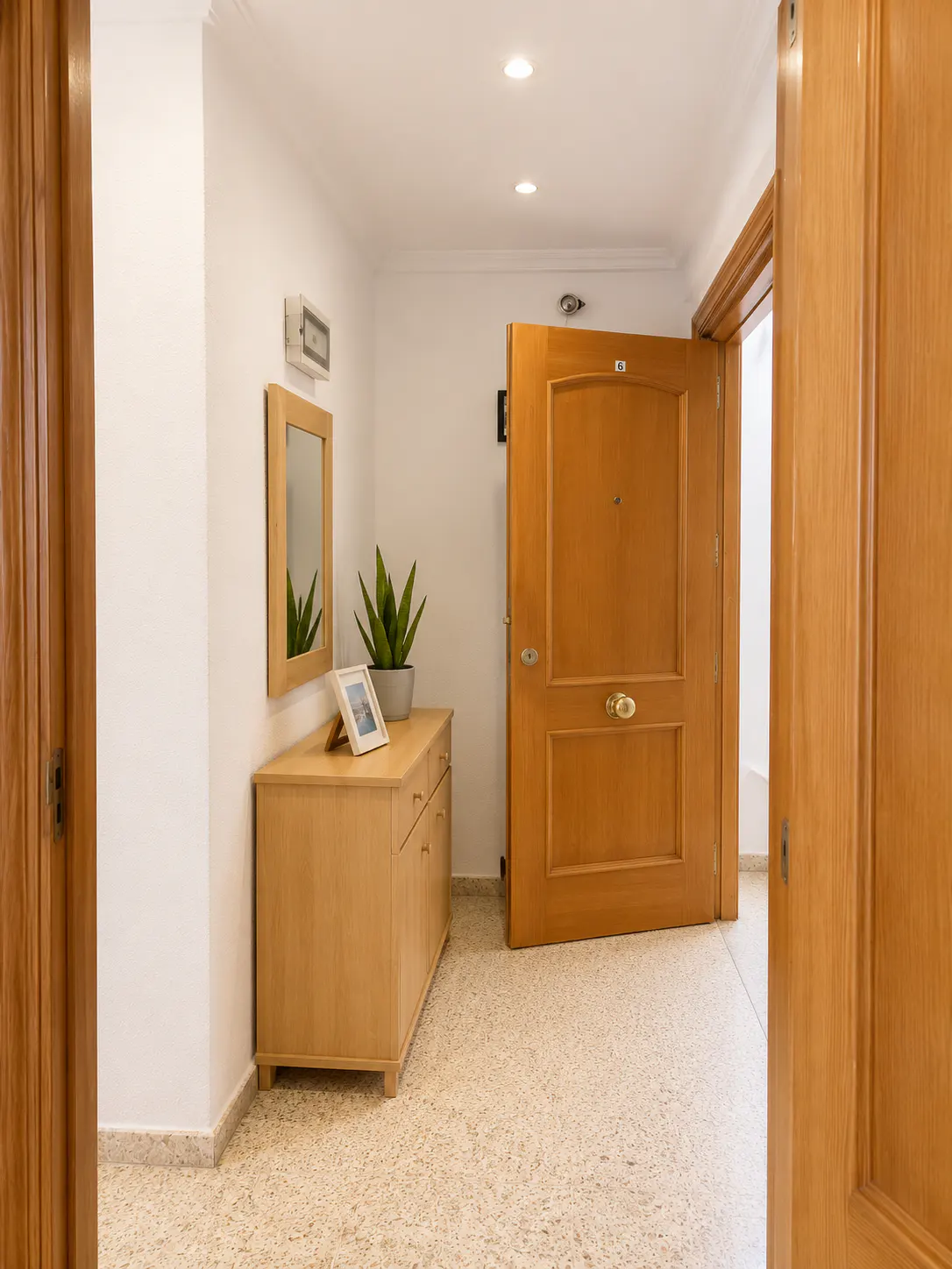 Entryway with a light wood cabinet, mirror, and plant. A partially open wood door leads outside. The floor is speckled beige.