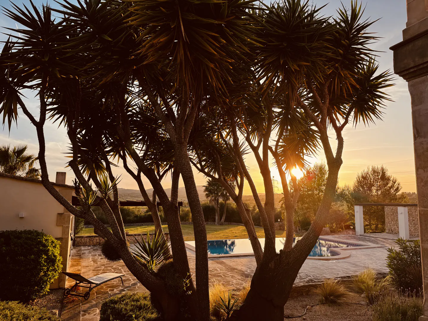 A sunlit outdoor pool area with palm trees, stone patio, and a glimpse of a building.