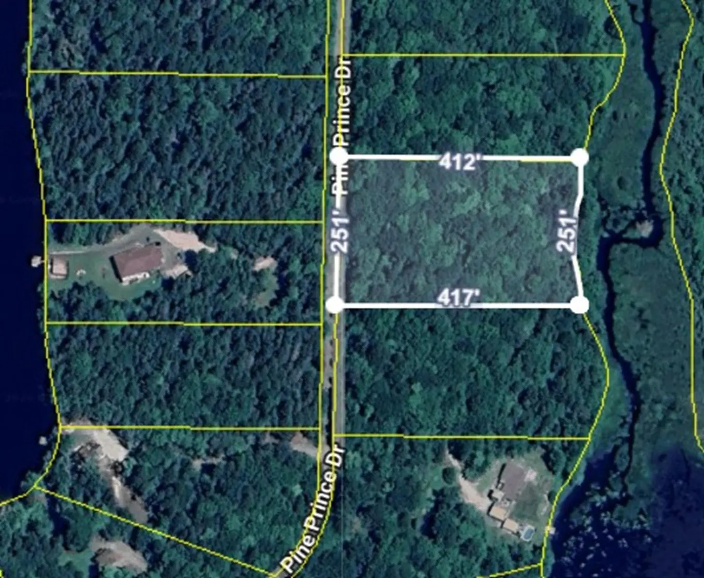 Aerial view of a wooded property outlined in white, with dimensions labeled, near Pine Prince Dr and a body of water.