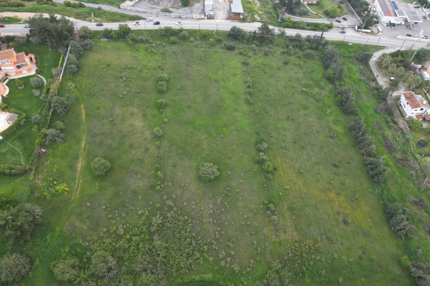 Aerial view of a large, green, grassy lot with scattered trees, bordered by roads and buildings.