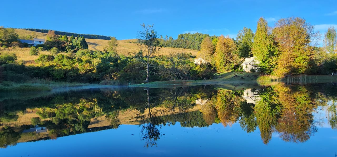 Picturesque Countryside Farm: Main Residence & Separate Income-Generating Cottages