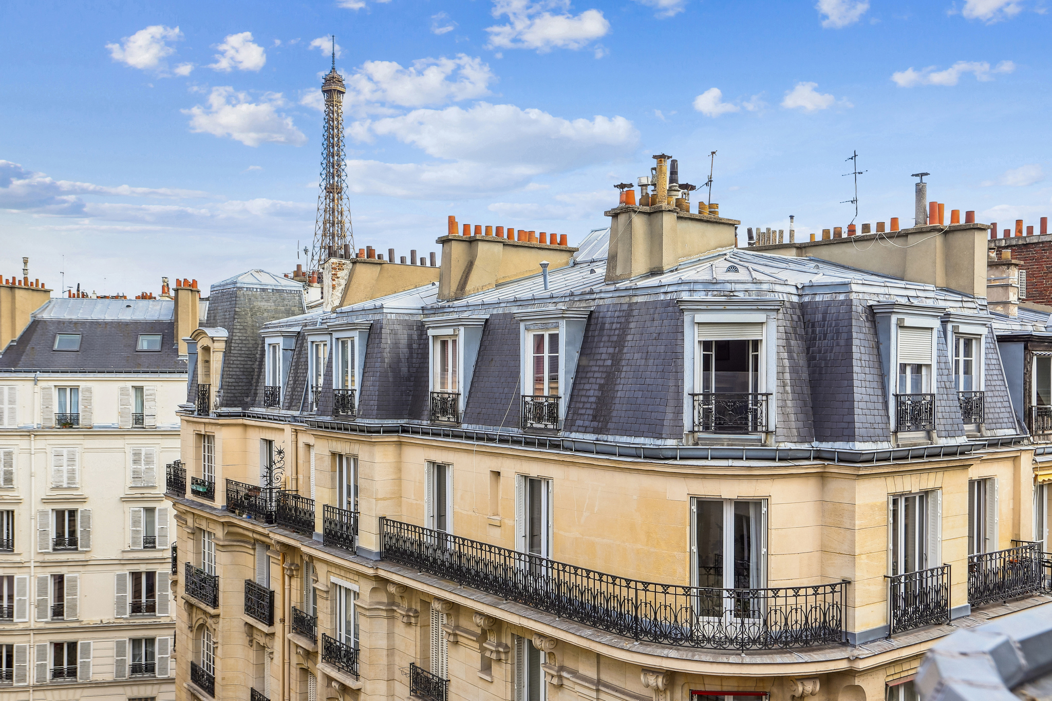 Spacious one-bedroom apartment with balcony - Passy