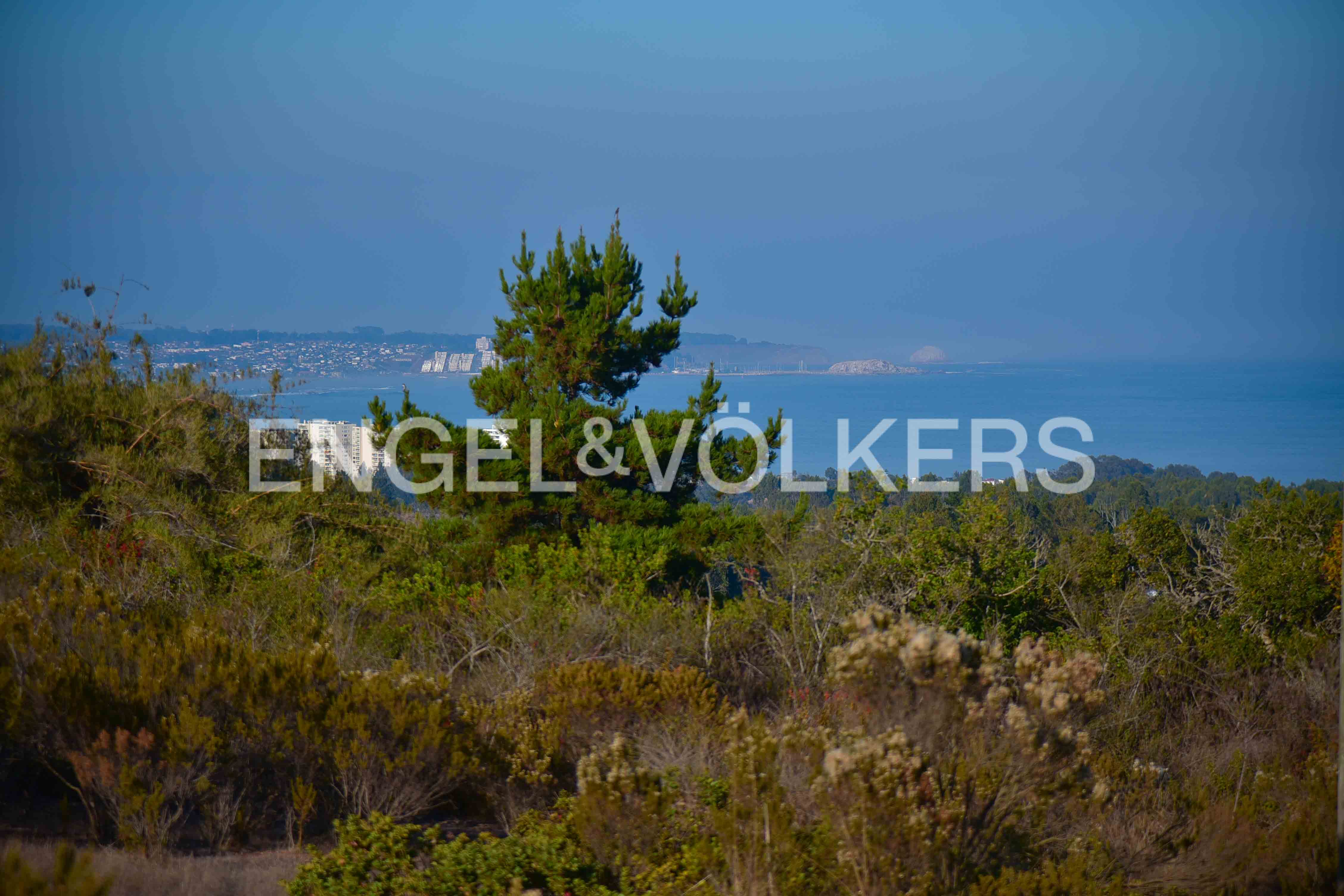 Tunquèn Vista al Mar. Venta Parcela 8.300 m2