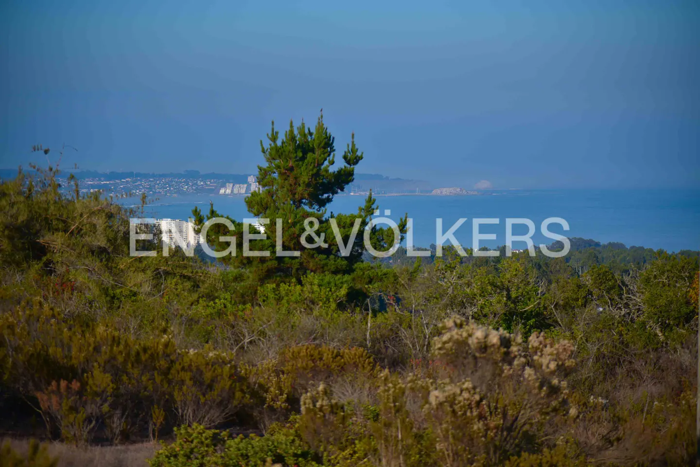 A scenic view of the ocean and a distant city skyline, framed by lush green trees and shrubs. The Engel & Völkers logo is overlaid.