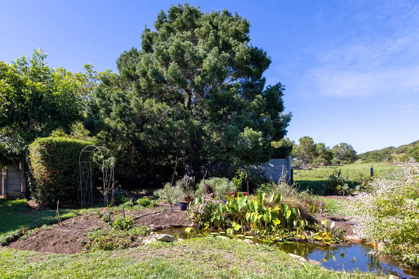 17 Andrew Avenue Pond