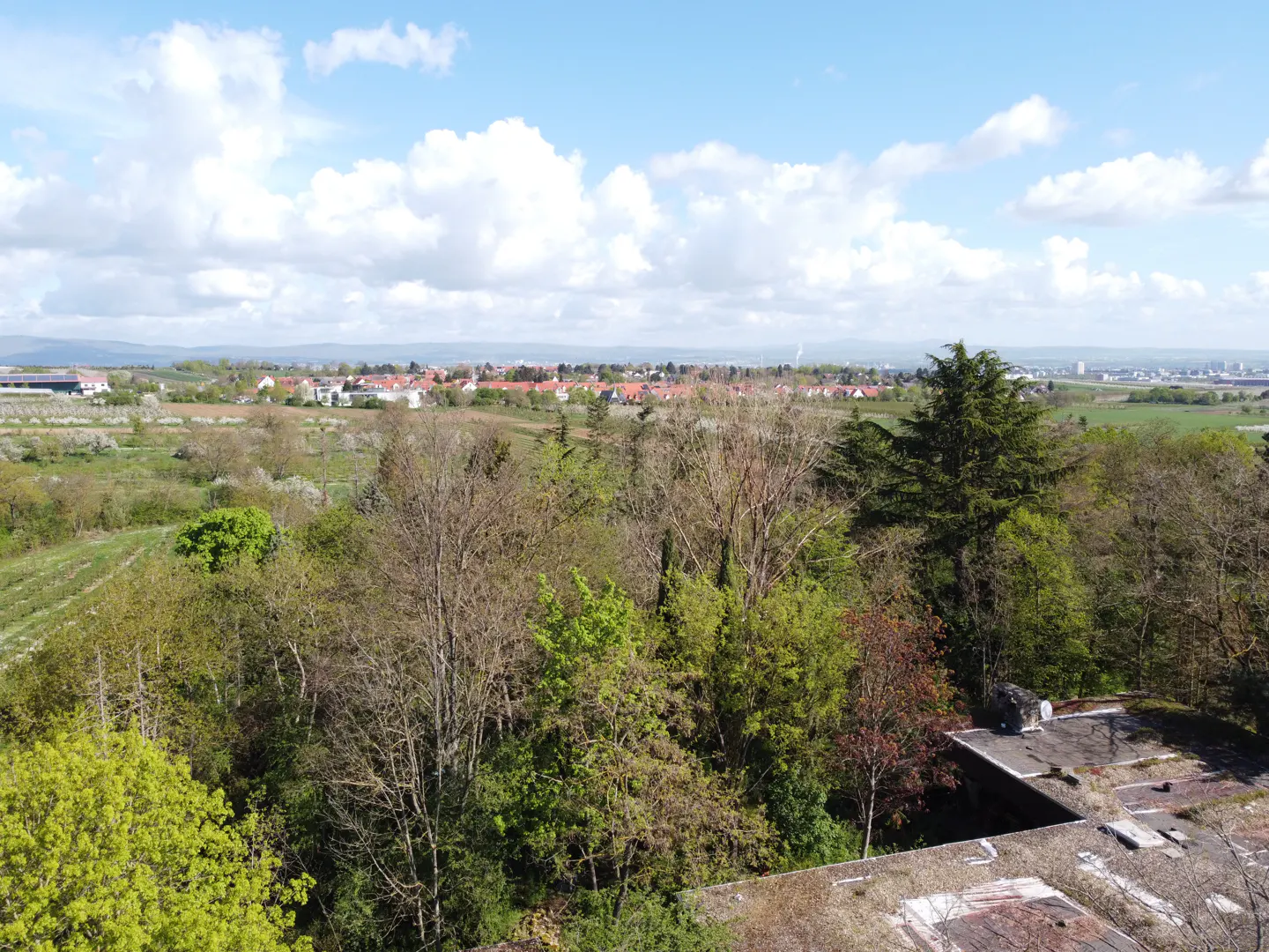 View from a rooftop overlooking trees, fields, and a town under a blue sky with white clouds.