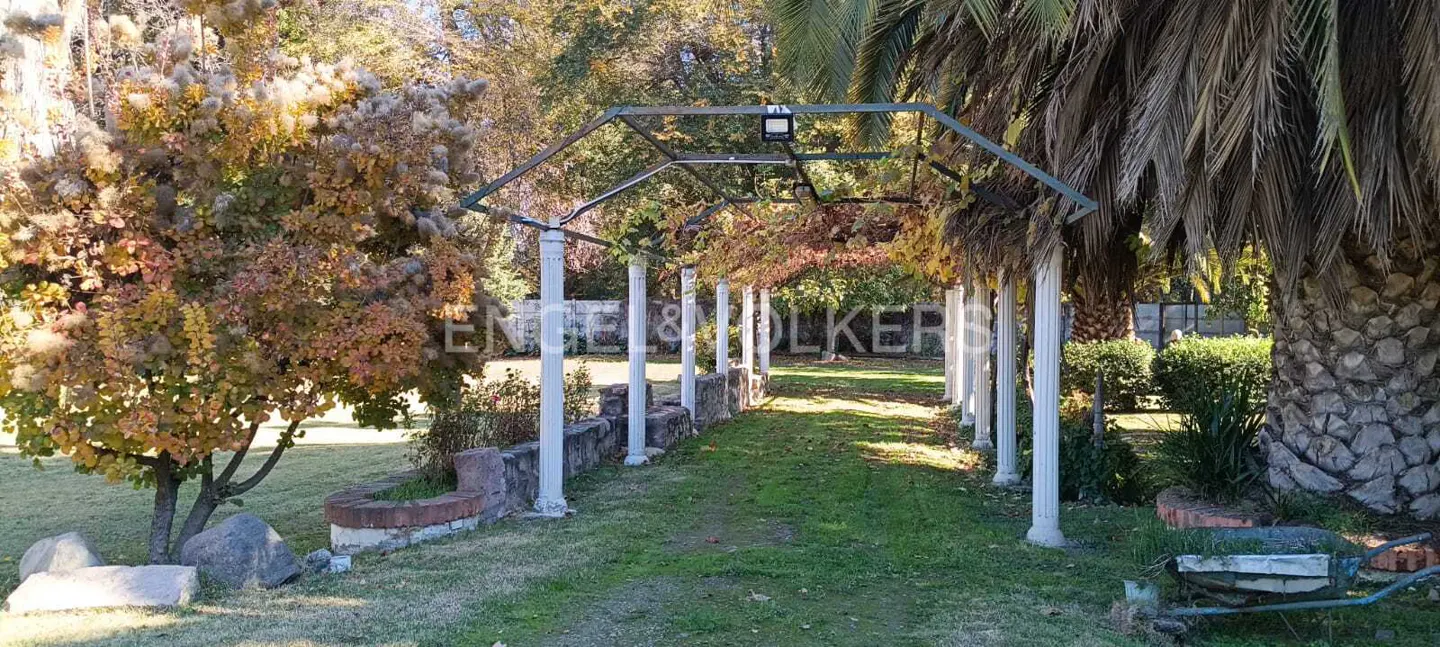 A garden path with white pillars and a metal pergola, lined with trees and greenery.
