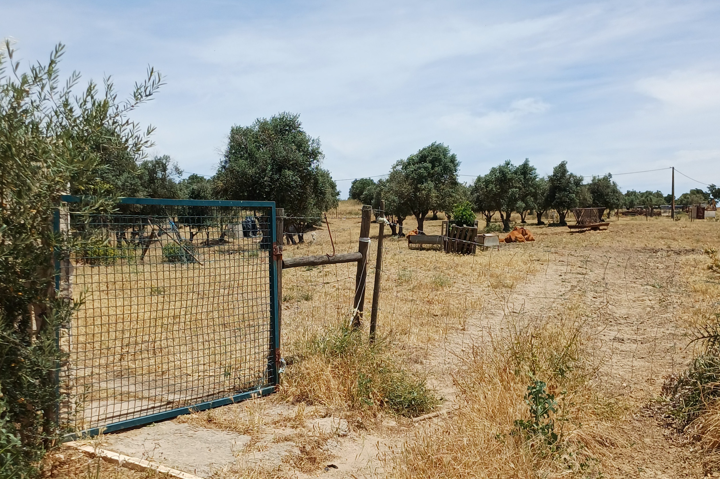 Property in Aljustrel