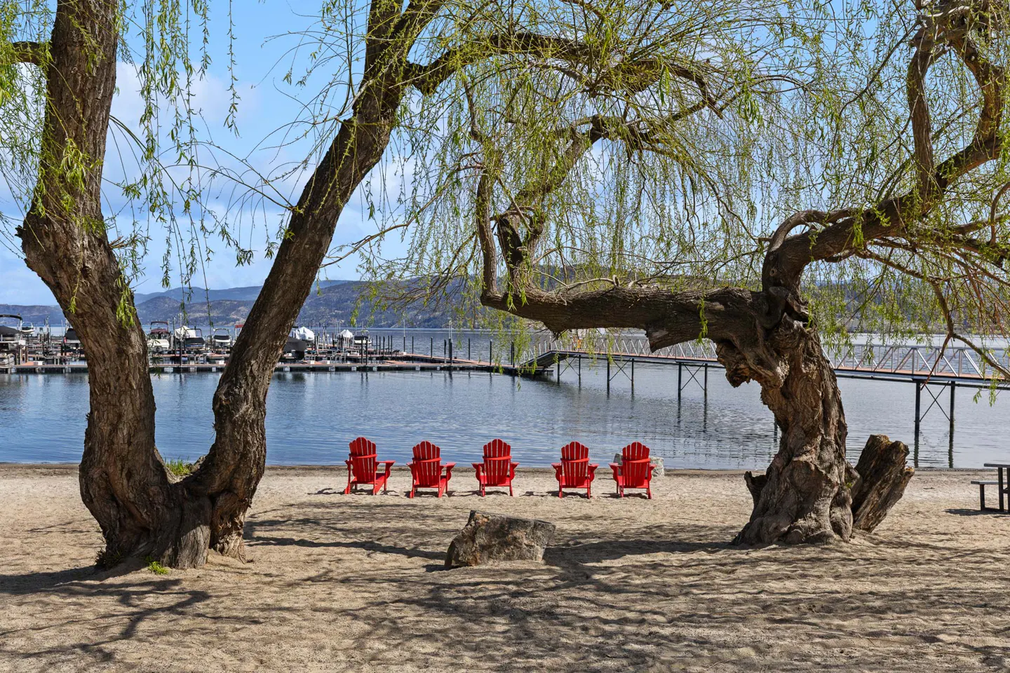 Five red Adirondack chairs on a sandy beach, framed by two willow trees. A lake, dock, and mountains are in the background under a blue sky.