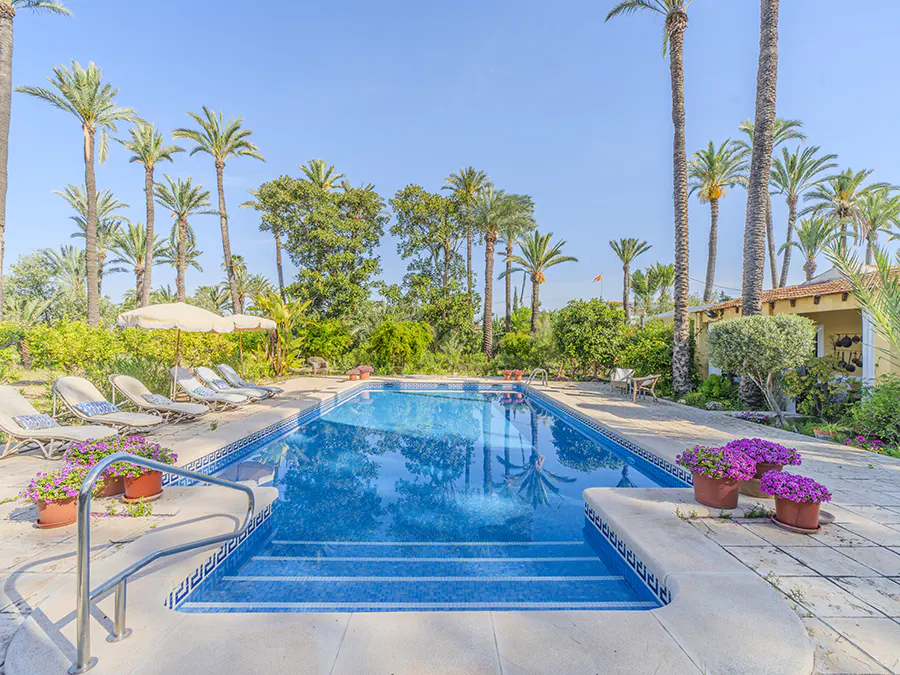 Outdoor pool with blue tile, surrounded by lounge chairs, palm trees, and lush greenery under a clear blue sky.