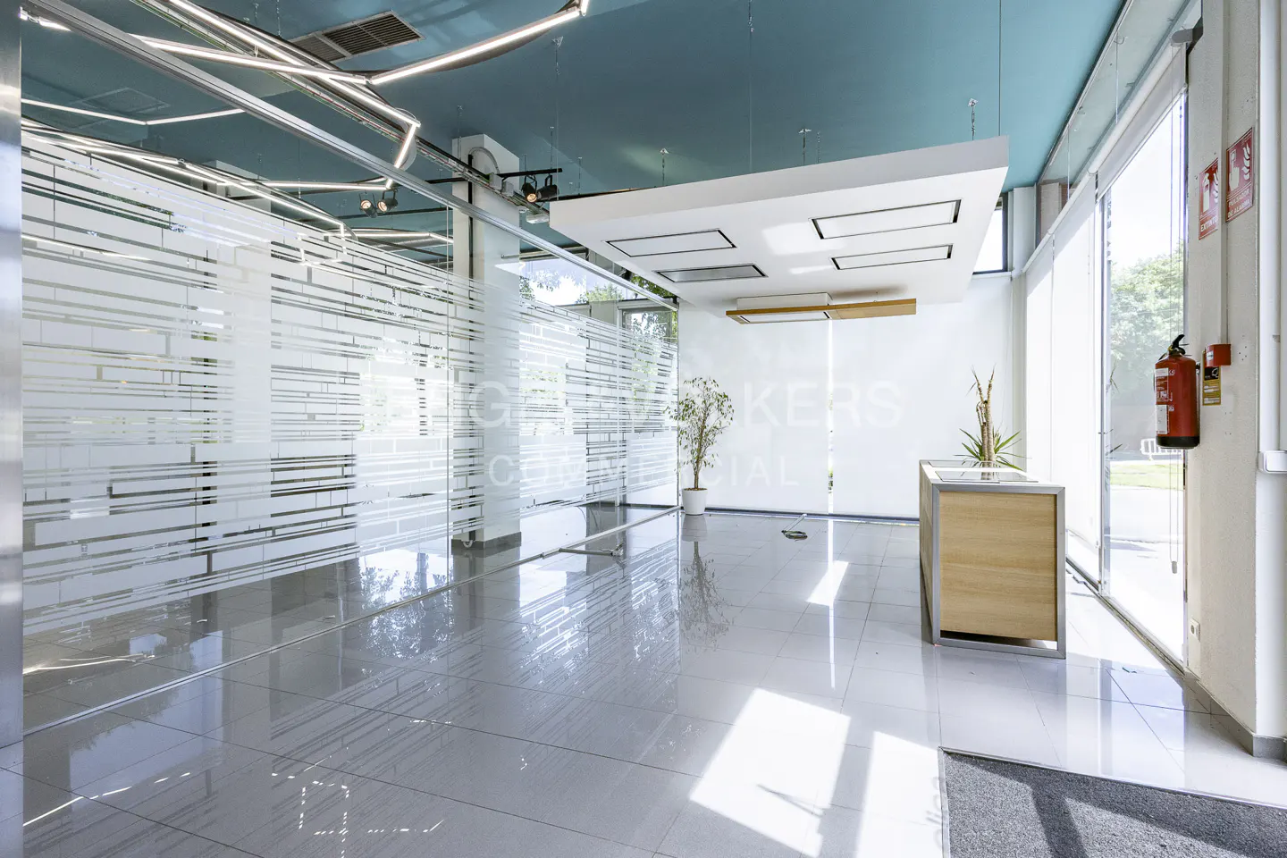 Modern office lobby with glass walls, a reception desk, and a blue ceiling with geometric lighting fixtures.